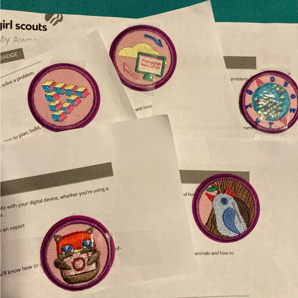 5 GS Junior Badges 17.50 Value Girl Scouts